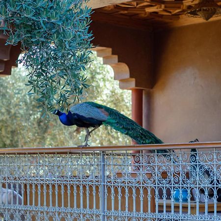 Ferme Sidi Safou & Spa Μαρακές Εξωτερικό φωτογραφία