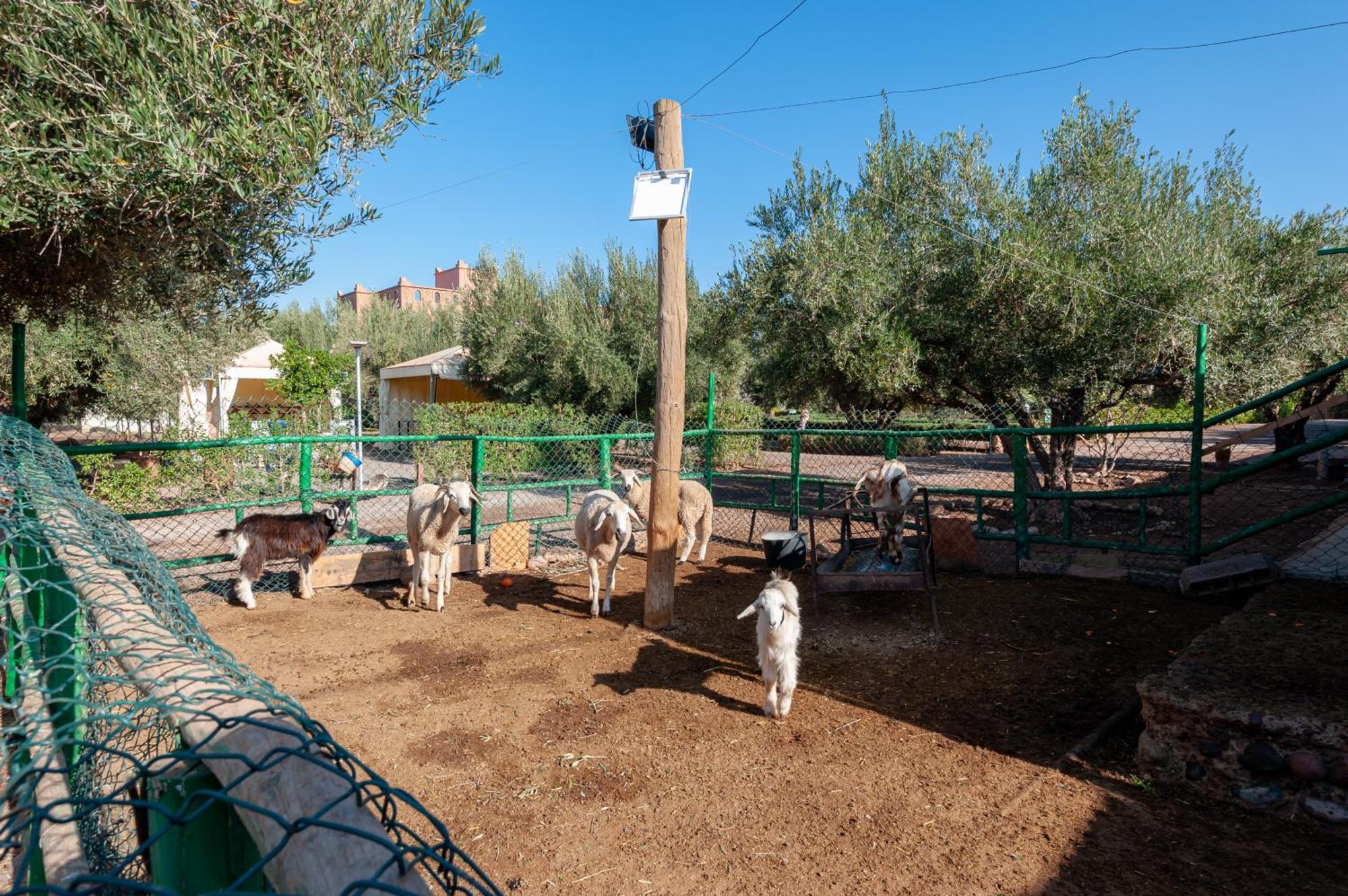 Ferme Sidi Safou & Spa Μαρακές Εξωτερικό φωτογραφία