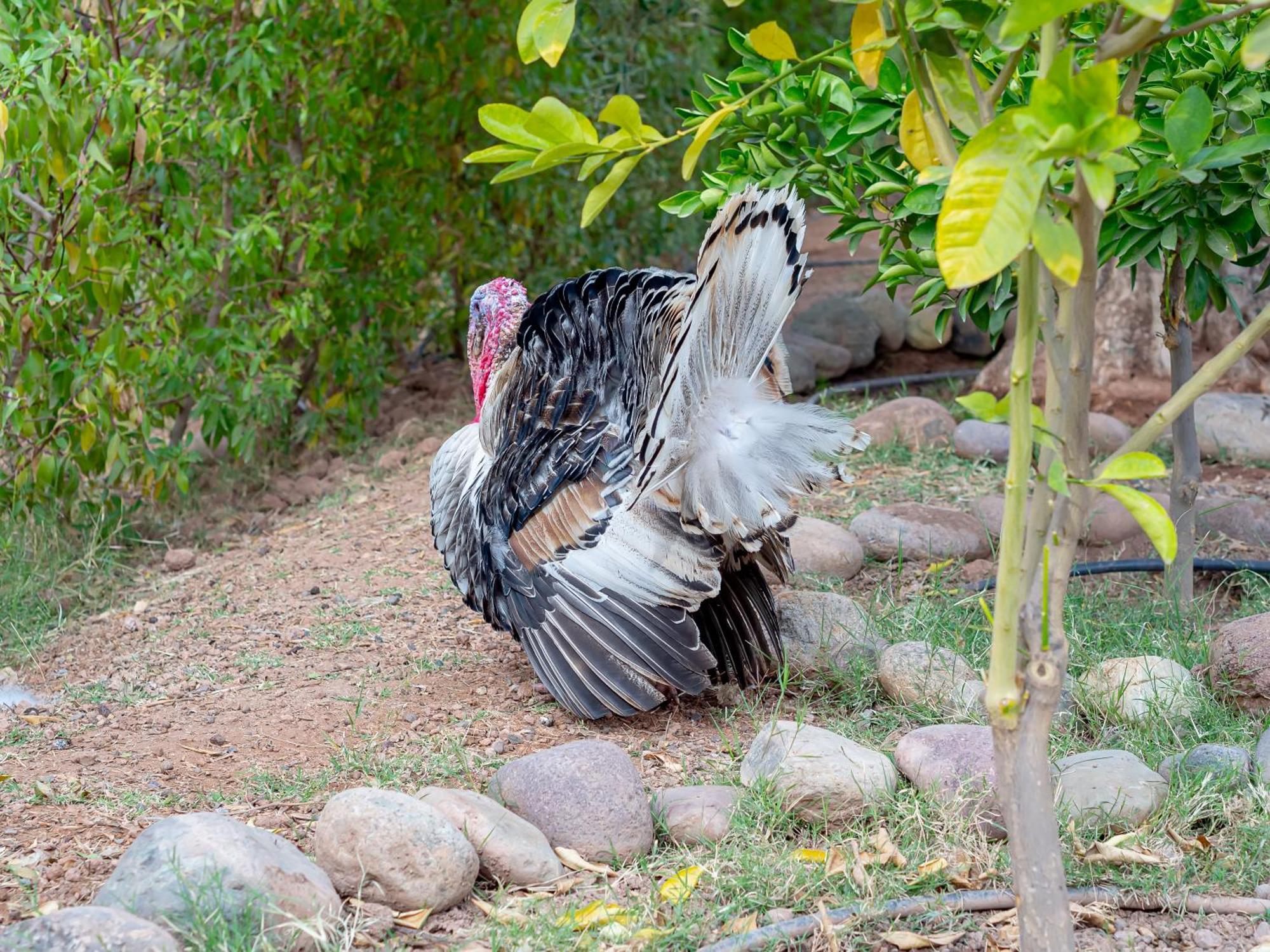 Ferme Sidi Safou & Spa Μαρακές Εξωτερικό φωτογραφία