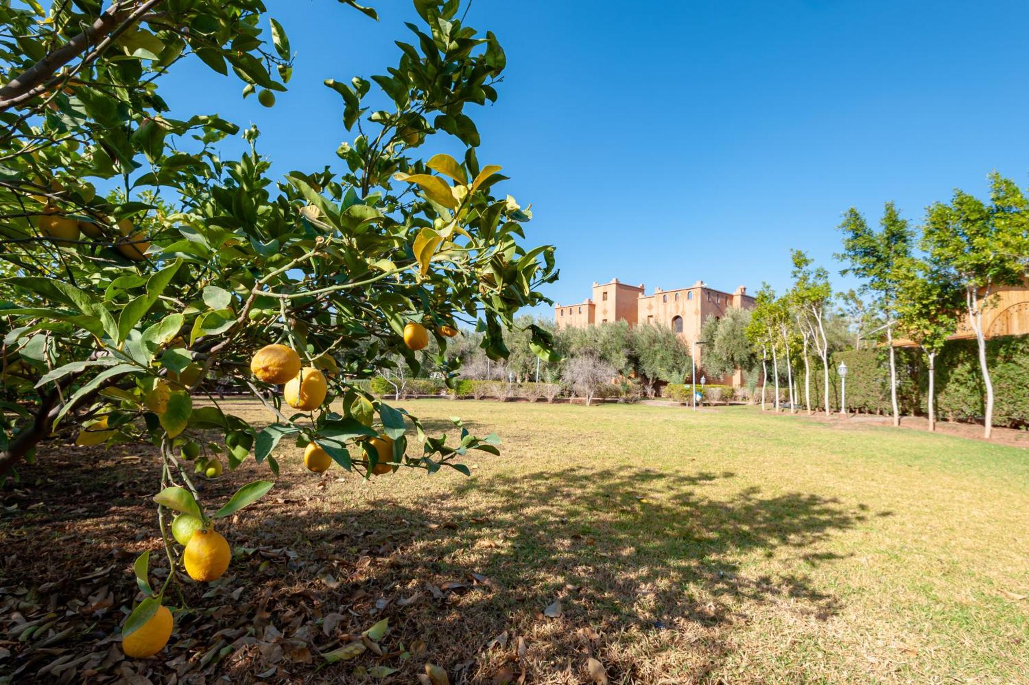 Ferme Sidi Safou & Spa Μαρακές Εξωτερικό φωτογραφία