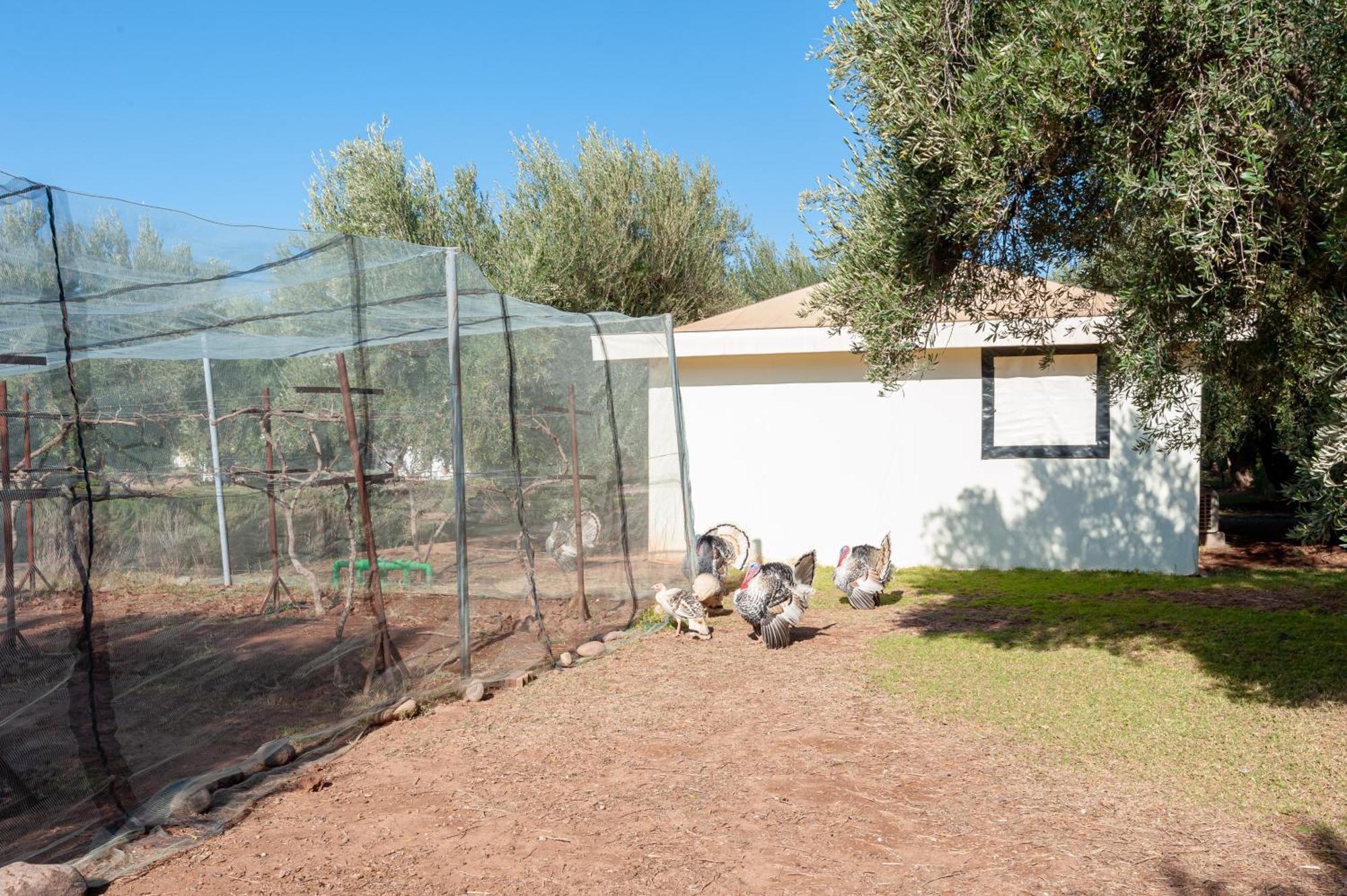 Ferme Sidi Safou & Spa Μαρακές Εξωτερικό φωτογραφία