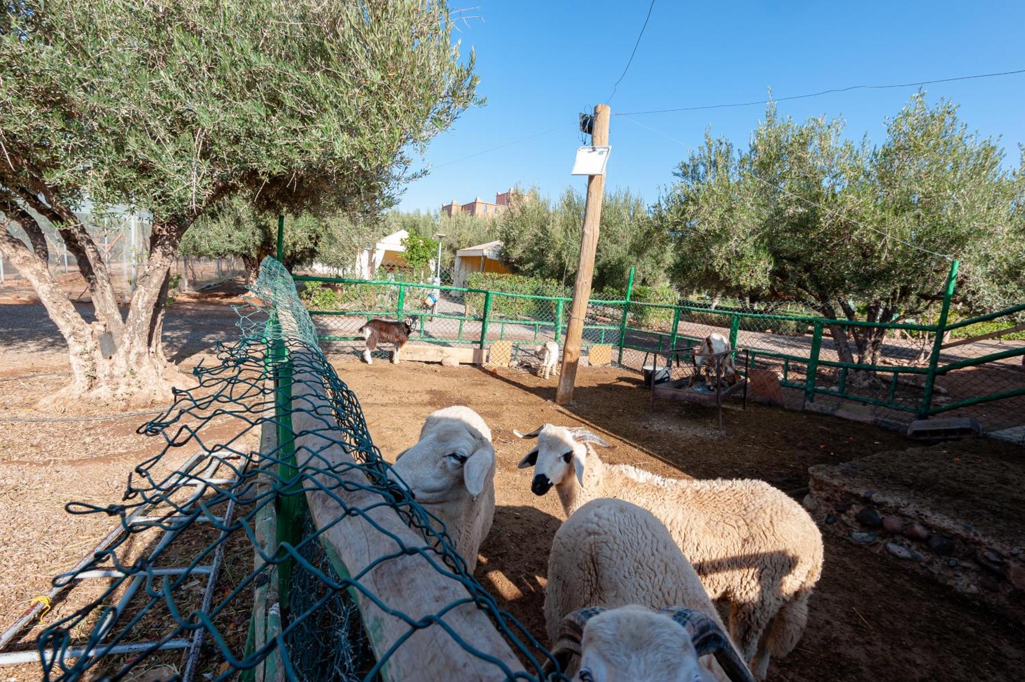 Ferme Sidi Safou & Spa Μαρακές Εξωτερικό φωτογραφία